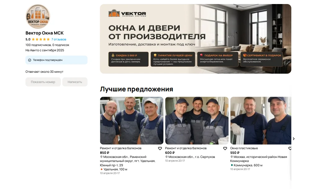Скриншот проекта Вектор-окна · развитие